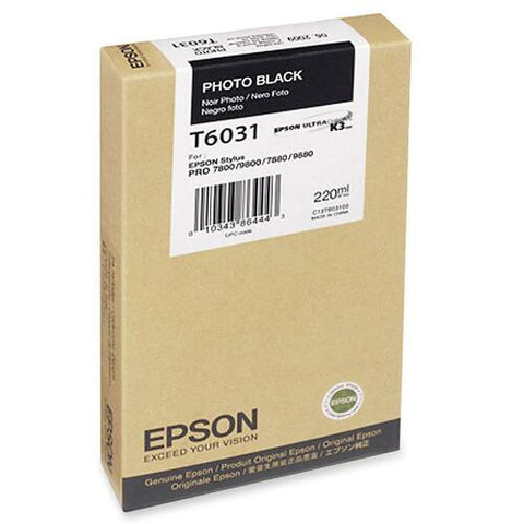 Epson Photo Black Ink Cartridge T603100