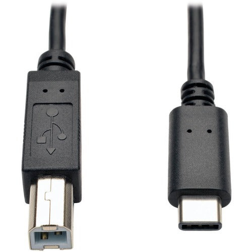 Tripp Lite by Eaton USB Type-B Male to USB-C Hi-speed Cable U040-006