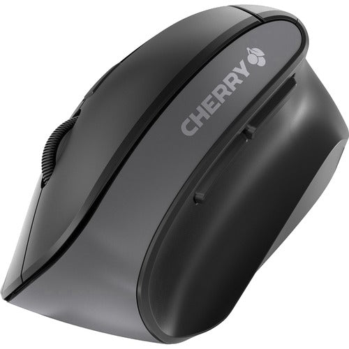 CHERRY MW 4500 Mouse JW-4500