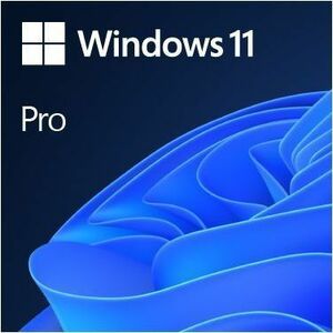 Microsoft Windows 11 Pro 64-bit HAV-00162