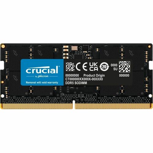 Crucial  CT24G56C46S5